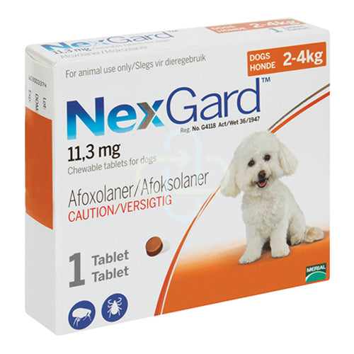NexGard Flea & Tick Tablet for Dogs 2–4kg (0.5g | 1 Tablet)